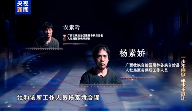 向灵活就业养老金“伸手”，她们终成阶下囚