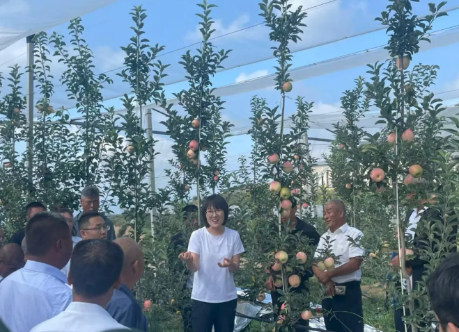 临汾市学习运用“千万工程”经验 推进乡村全面振兴专题宣讲案例①——（陈静）壶口潮