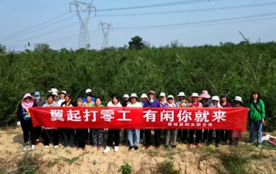 临汾翼城妇联“三二一”机制助女性就业创业