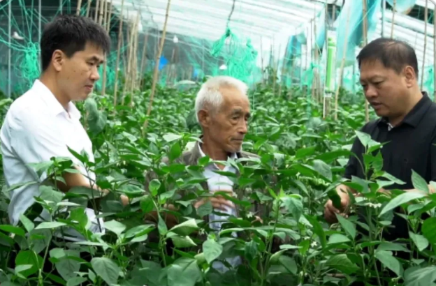 临汾市学习运用“千万工程”经验 推进乡村全面振兴专题宣讲案例③——（陈建明）绘就