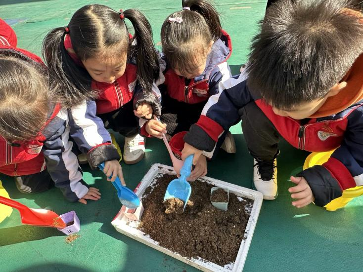 太原万柏林区南寒街道：植下小美好  多肉伴成长