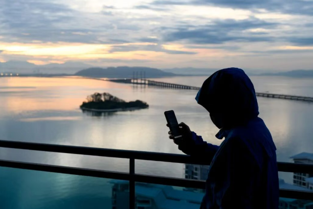 李某受境外某反华组织头目蛊惑参加反华活动，被骗数万元！国安部披露