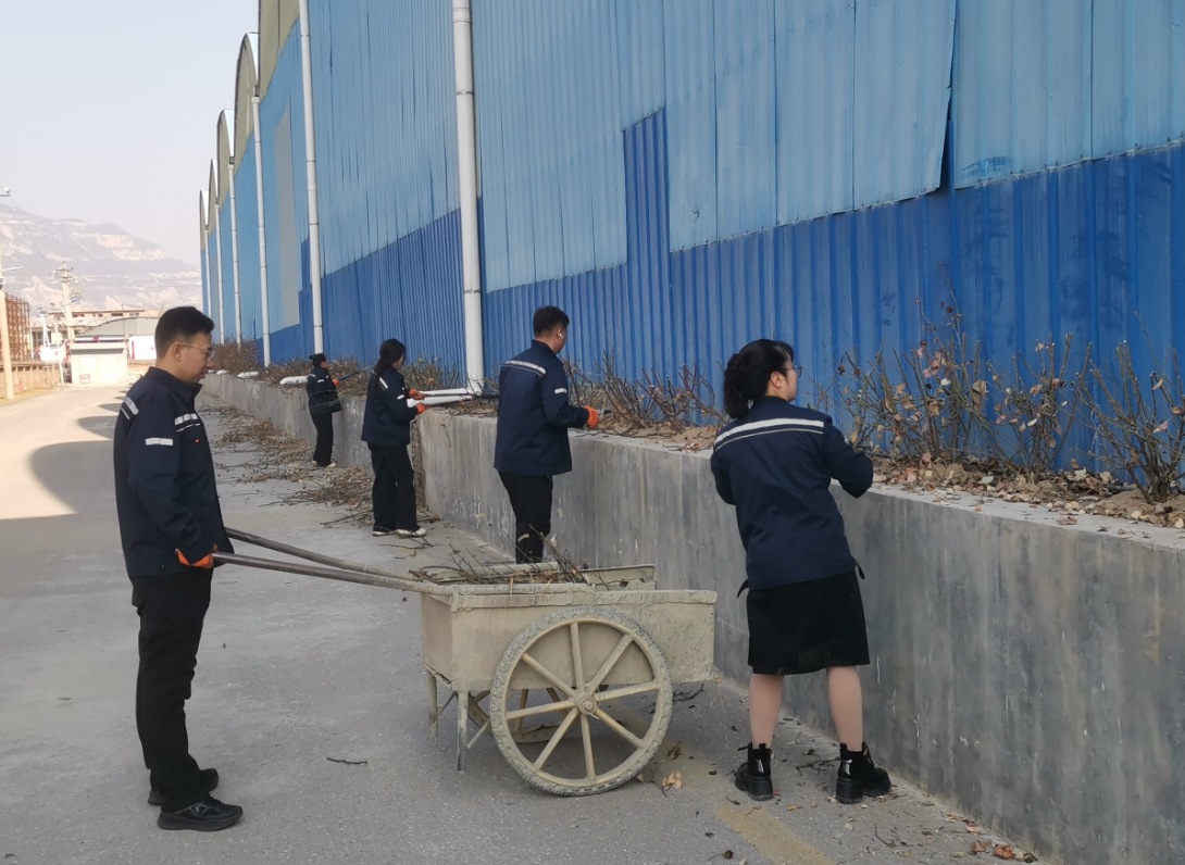 护绿正当时  精管细养促生机——太原市政集团沥青拌和厂开展植