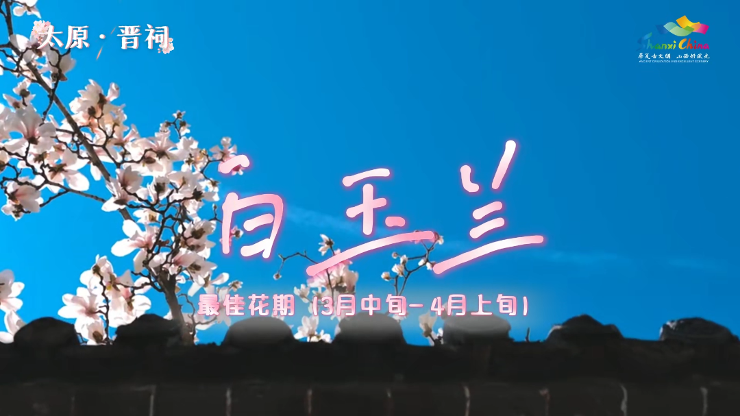 微信图片_20260317110537_3985_36.png 微信图片_20260317110537_3985_36.png