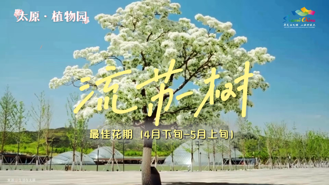 微信图片_20260317110538_3987_36.png 微信图片_20260317110538_3987_36.png