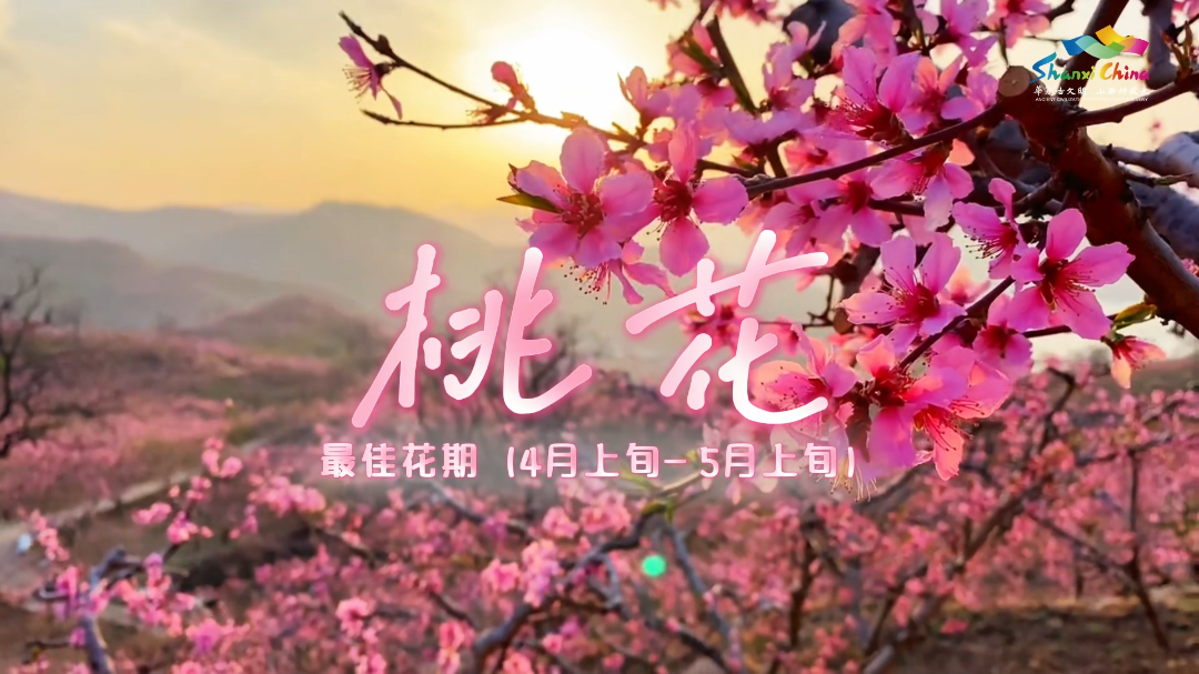 微信图片_20260317110540_3989_36.png 微信图片_20260317110540_3989_36.png