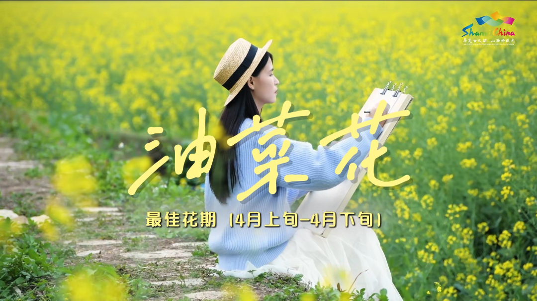 微信图片_20260317110542_3991_36.png 微信图片_20260317110542_3991_36.png