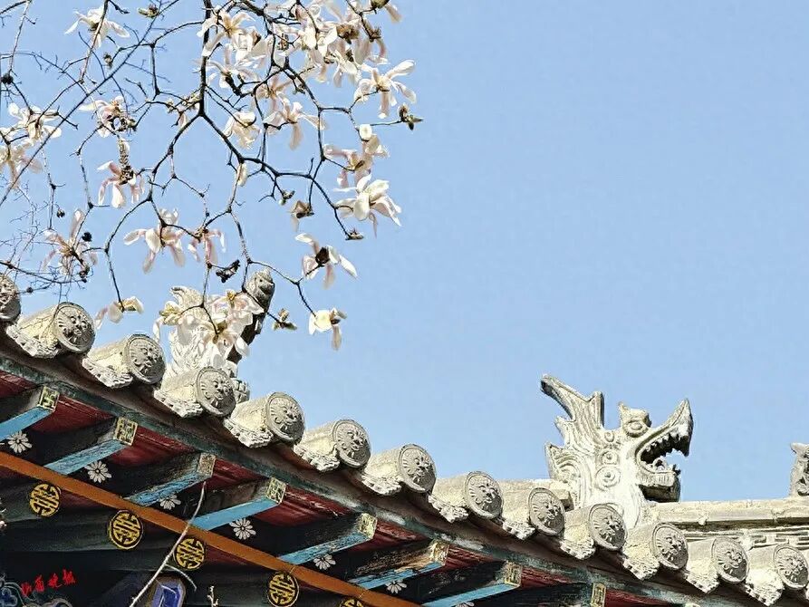 太原：繁花绘就春日经济画卷，文旅复苏暖意盎然