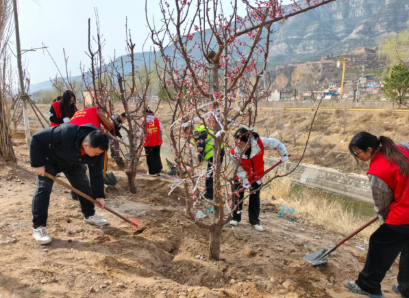 “党建红”播种“生态绿”——太原尖草坪区南寨街道江阳社区为西