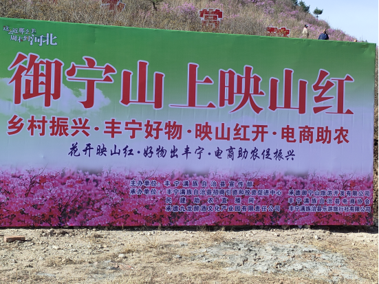 御宁山上映山红  丰宁好物出深山——河北承德丰宁笫四届山花节