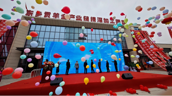 鑫聚缘“贡羊伊东”全链布局 东乡贡羊全面进京入港出海战略奏响产业发展的时代新篇章(1)(1)1524.png