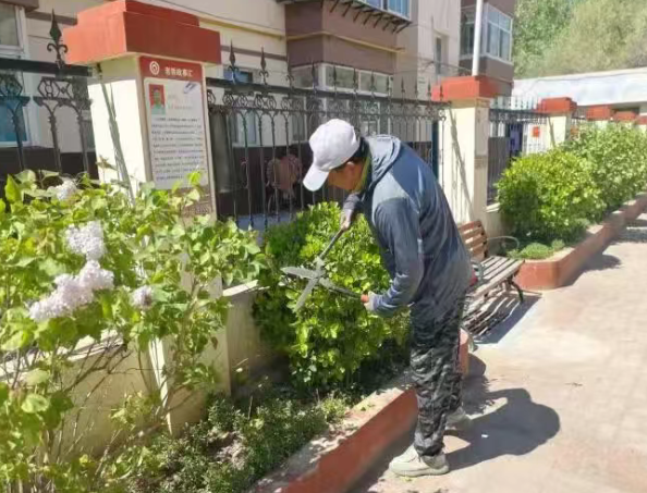 一篱青绿暖邻里，凡人善举绘文明！太原尖草坪区光社街道建工街第二社区“绿篱管家”以