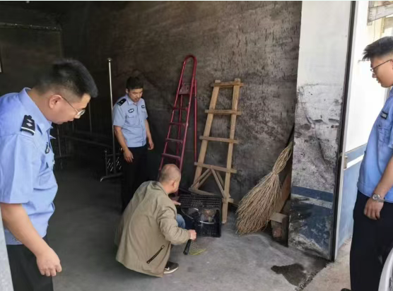 山西吕梁汾阳公安：一只游隼遇困  警民暖心守护