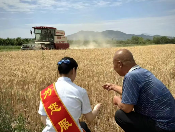 临汾农信：金融护航助夏收