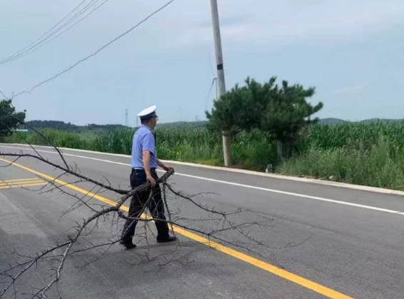 大树倒伏阻断道路   长治壶关交警快速清障保畅通