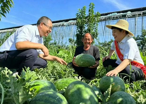 临汾曲沃农商银行：金融护航果香洋溢  助力乡村产业振兴