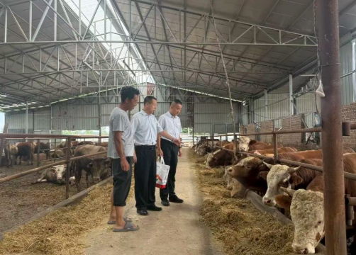 临汾侯马农商银行：数据多跑路  客户少跑腿