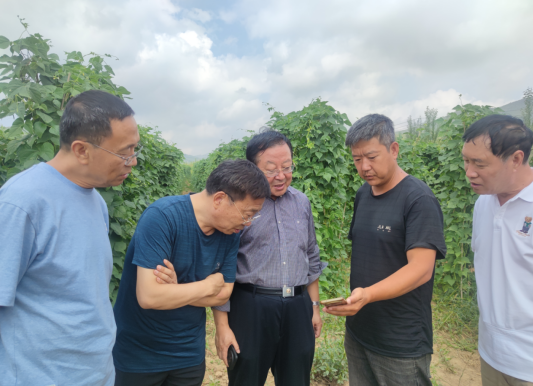 走访蔬菜基地察实情  聚力产业振兴促发展——山西省乡村振兴联合体走进静乐县龙家庄