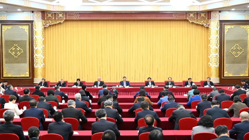 习近平看望全国政协委员