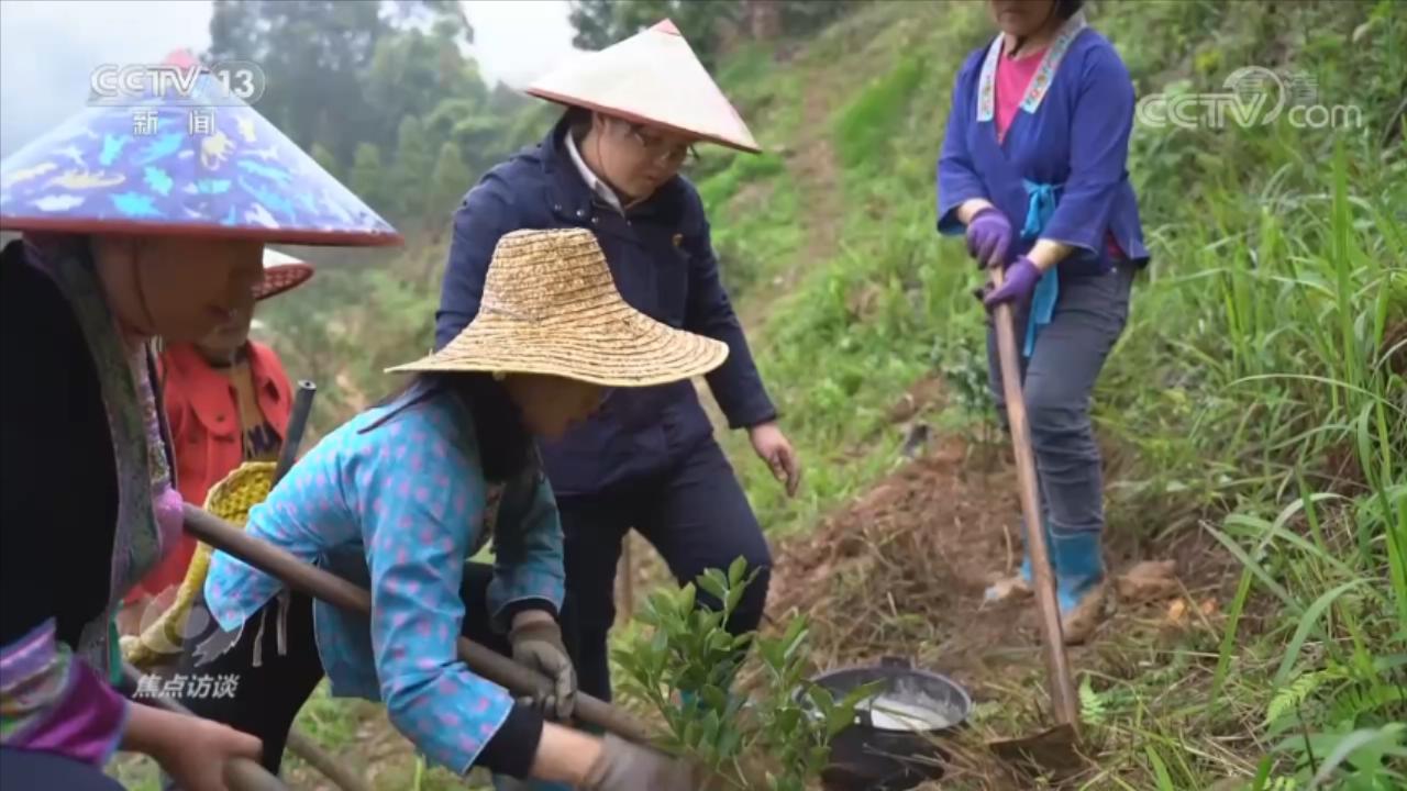 焦点访谈：选好党的二十大代表