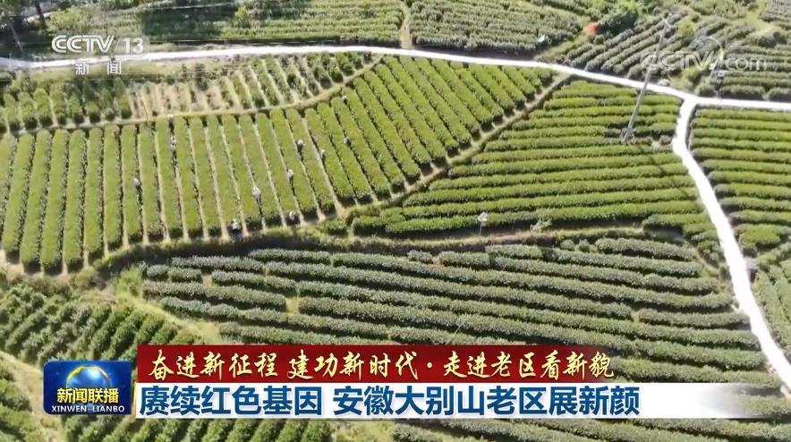赓续红色基因 安徽大别山老区展新颜