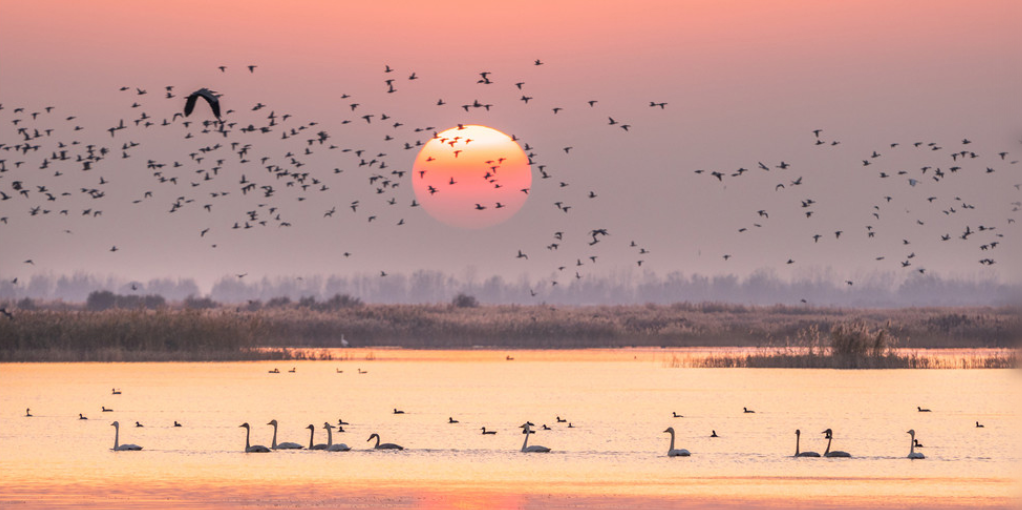 非凡十年｜山东：牢记嘱托走在前 勇担使命开新局