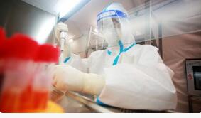 浙江省新增本土确诊病例4例，在衢州市