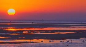 用双向调节促绿色发展（美丽中国）