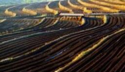 我国将立法保护“耕地中的大熊猫”黑土地