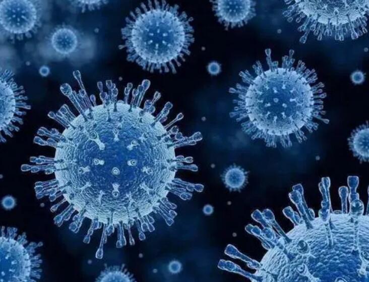 国家卫健委：12 月11日新增本土病例49例