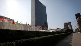 联合国报告：新冠疫情下亚太地区饥饿人口去年增5400万