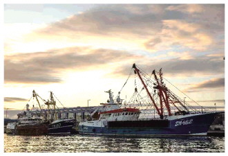 双方同意继续磋商 英法渔业争端暴露“脱欧”后遗症