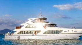 疫情阵痛，游轮旅行去往何处？