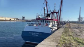 法国推迟就渔业争端实行报复措施 邀英方赴巴黎对话