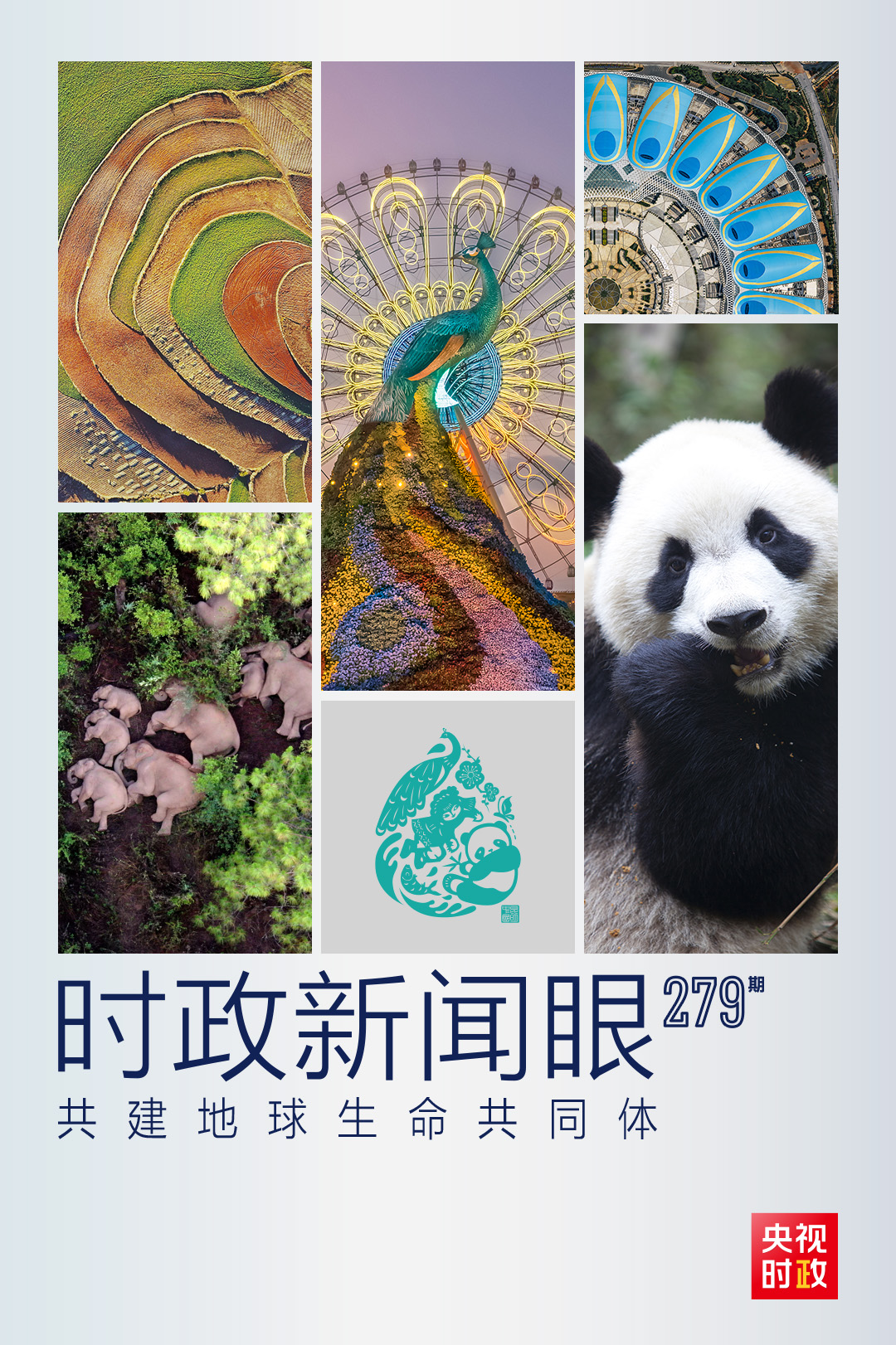 在这场领导人峰会上，习近平阐述生物多样性保护的中国主张