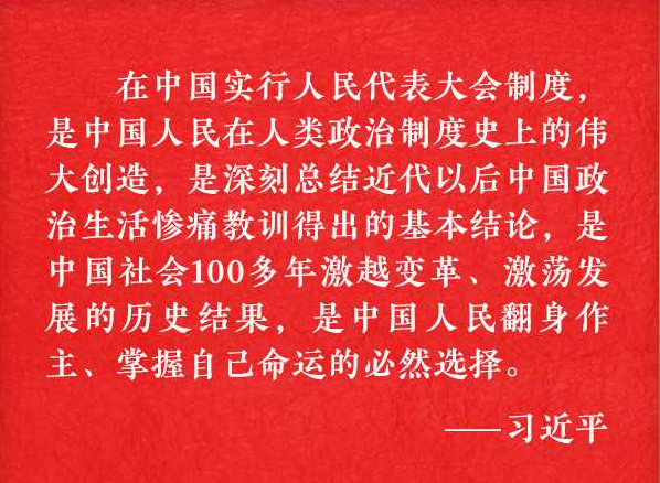 读懂人民代表大会制度 习近平这些话切中肯綮
