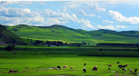 在华澳籍媒体人发声：西方对华报道不实 还原真实中国很重要