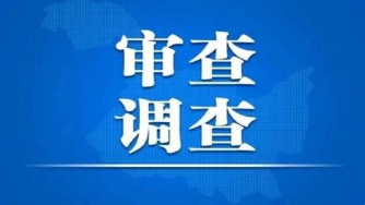 中国人民银行科技司原司长王永红接受审查调查