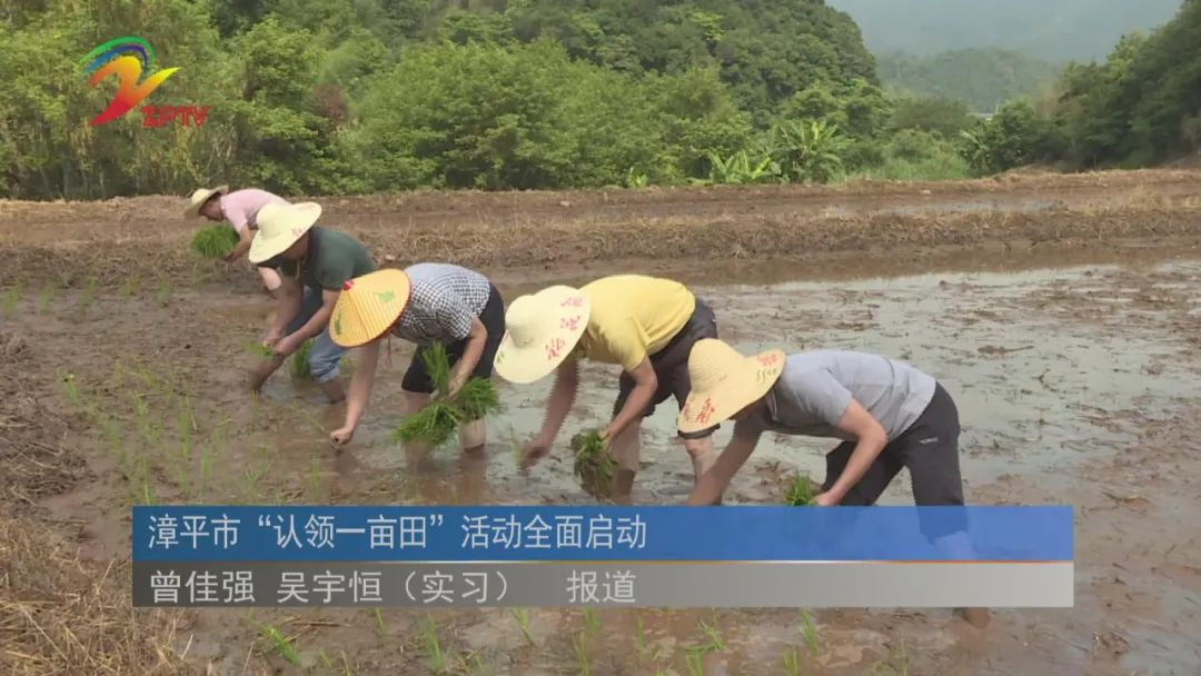 福建漳平市“认领一亩田”活动全面启动