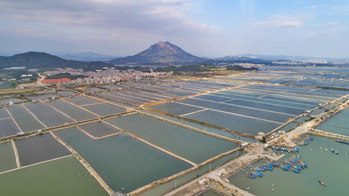 福建漳州乡镇纪委谈--微治理 | 诏安四都镇：护航“清海行动” 盘活“蓝色资本”