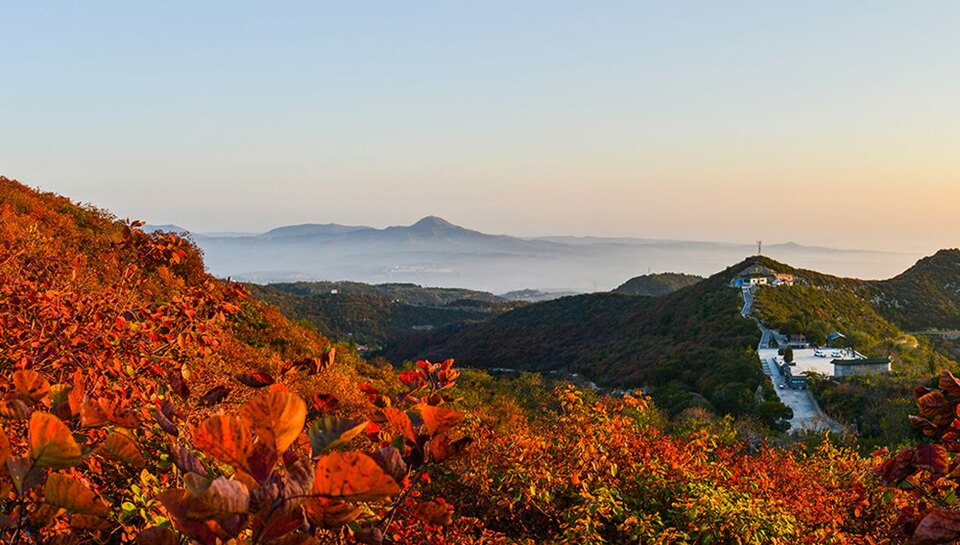 河南巩义长寿山：漫山红遍 层林尽染秋意浓