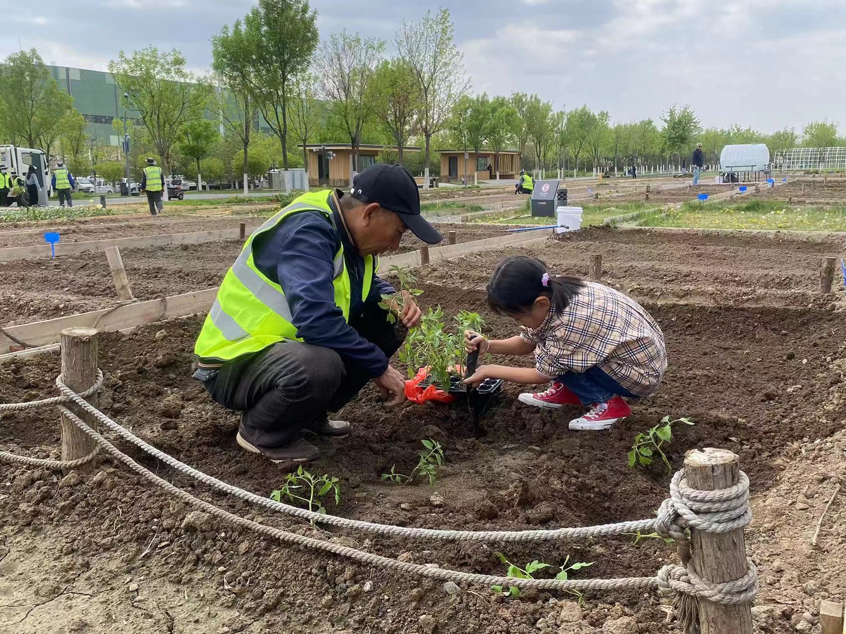 现实版“开心农场”来太原植物园种地吧