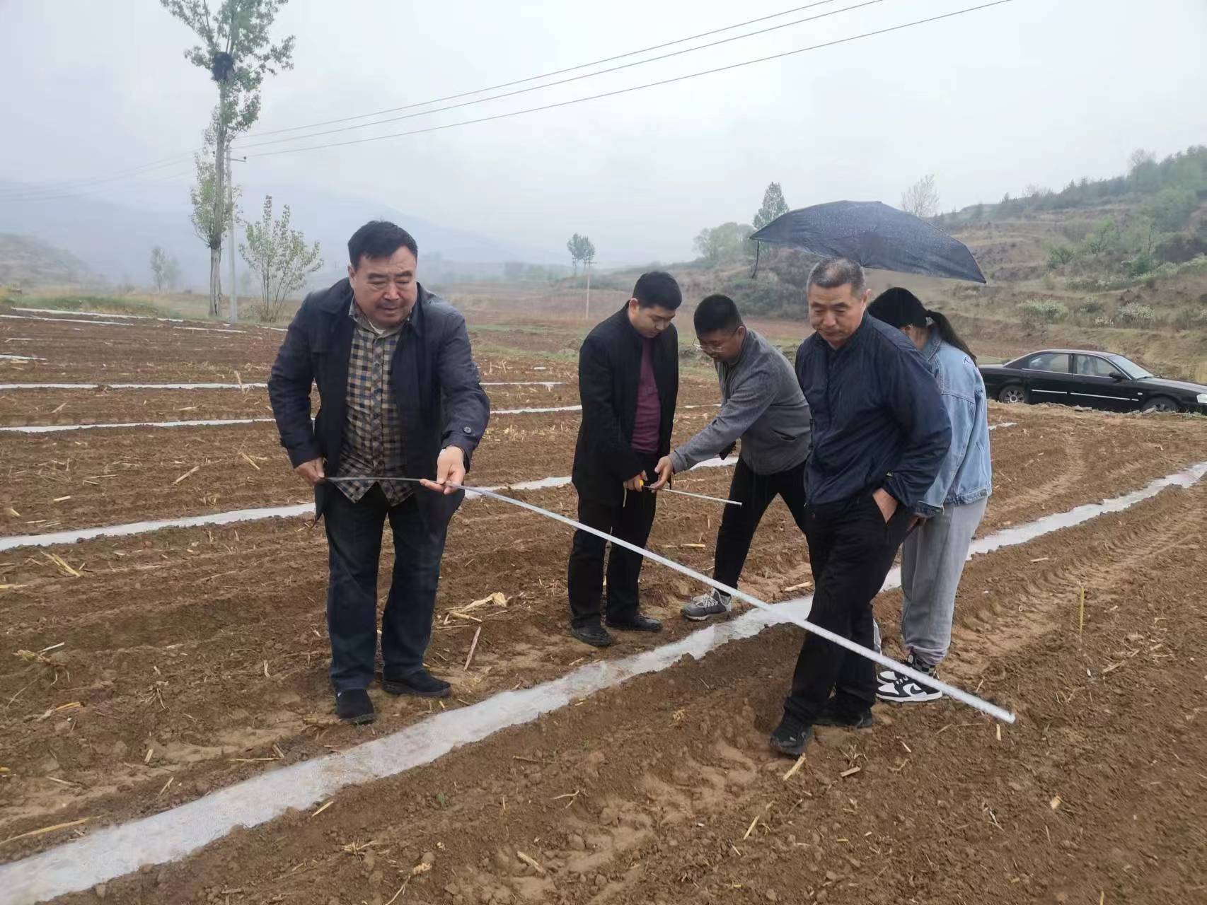 太原古交市：五一假期春耕时  农技人员指导忙