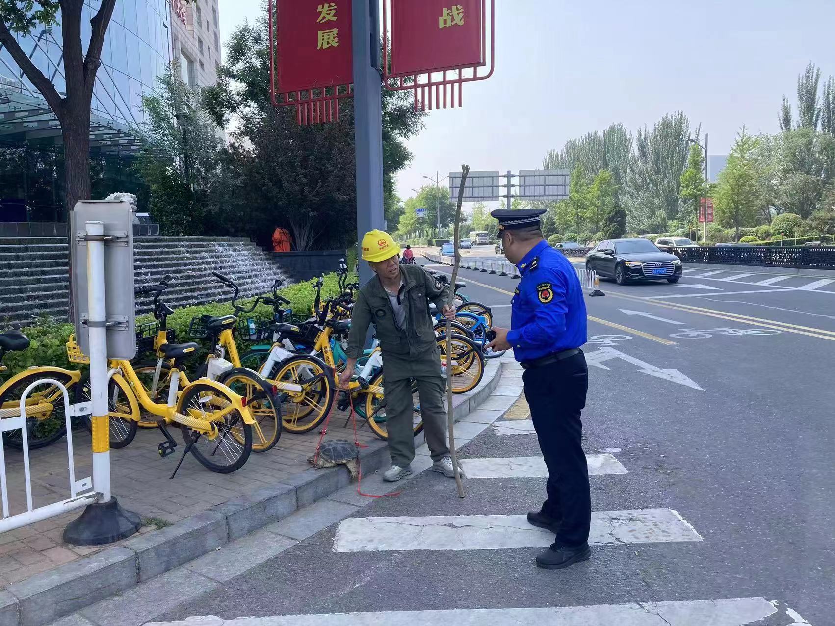 太原市城管执法队：紧盯挑杆售龟行为  提升景区市容环境