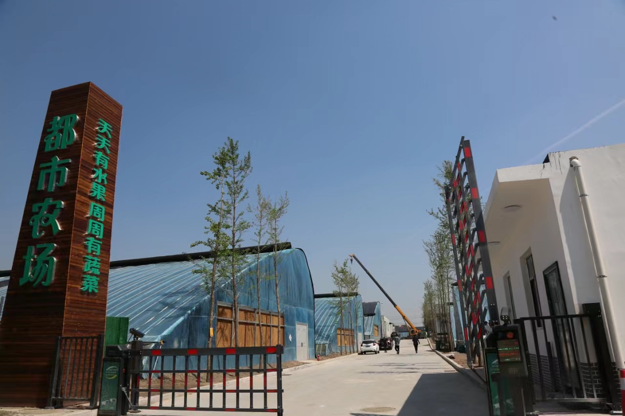 太原晋源区都市农场：夏日好“丰”景大棚瓜果香