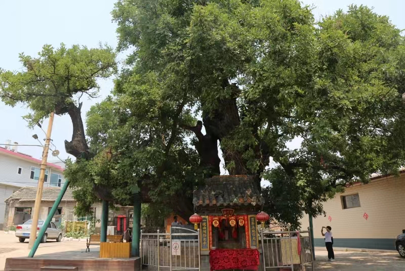 中国传统村落赤桥村——千年风云古韵新生