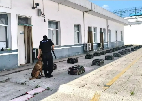 微信截图_20240615195240.png 微信截图_20240615195240.png