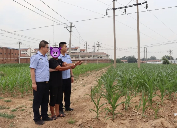 微信截图_20240628080832.png 微信截图_20240628080832.png