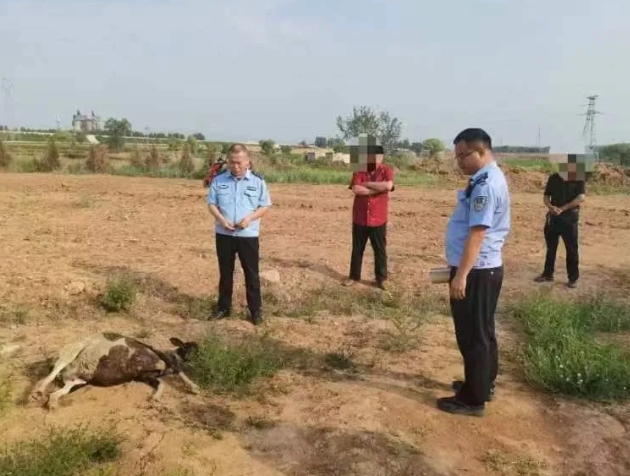 微信截图_20240628080742.png 微信截图_20240628080742.png