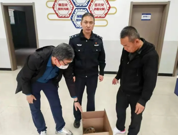 吕梁交口派出所及时救助国家二级保护动物——猫头鹰